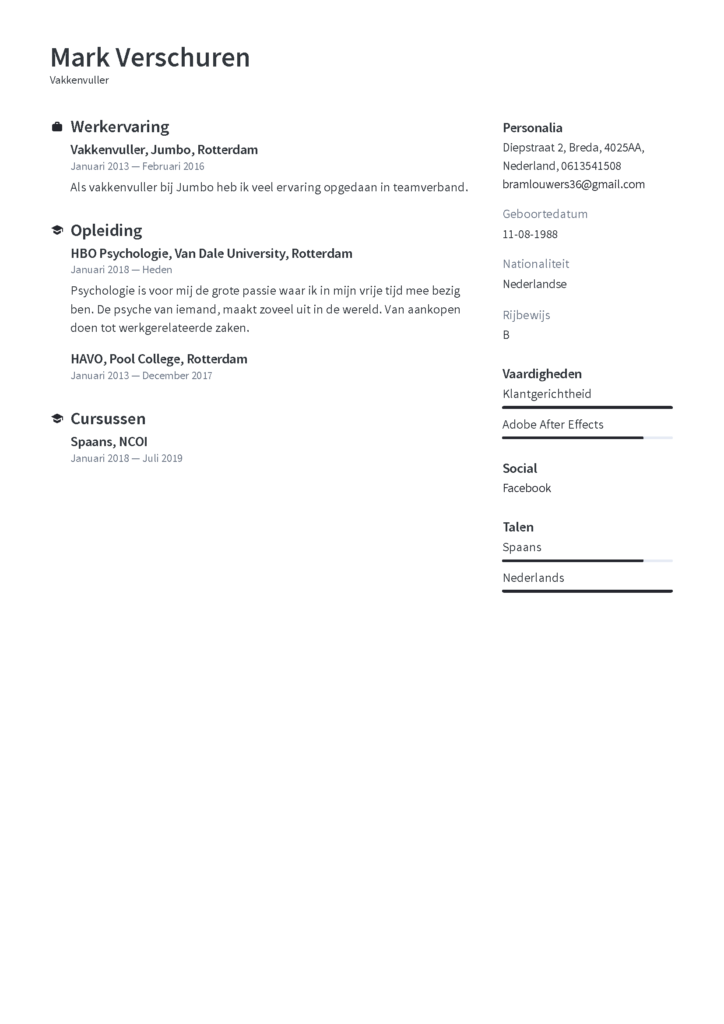 cv template vakkenvuller