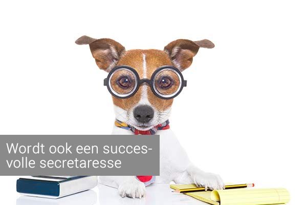 cv secretaresse