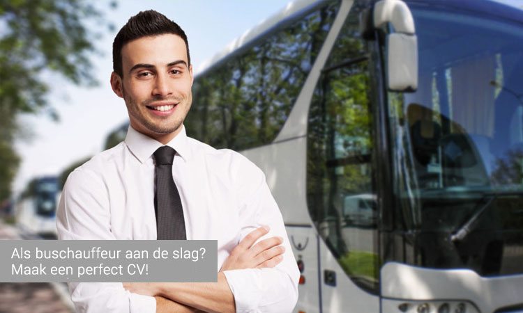 Cv Buschauffeur Voorbeeld Uitleg Perfectcv Nl