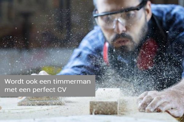 Timmerman CV voorbeeld en uitleg