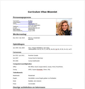 Cv Voorbeeld Bloemist 2019 Download Gratis Perfectcv Nl