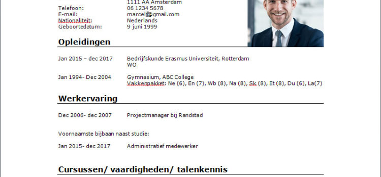CV voorbeeld – projectmanager cv projectmanager