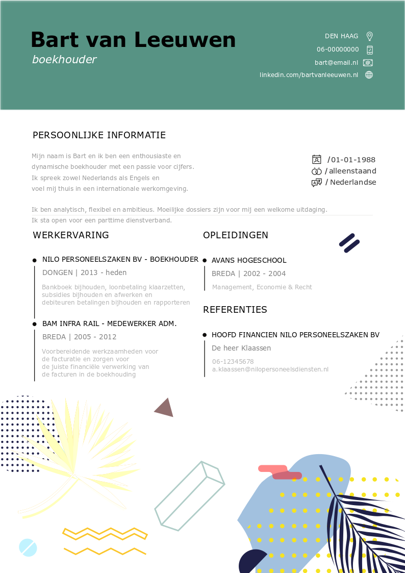 curriculum vitae boekhouder