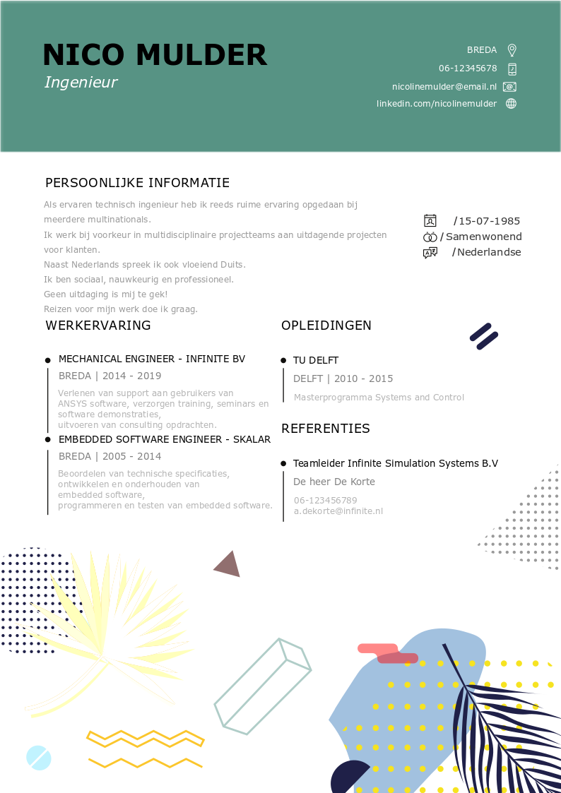 curriculum vitae ingenieur