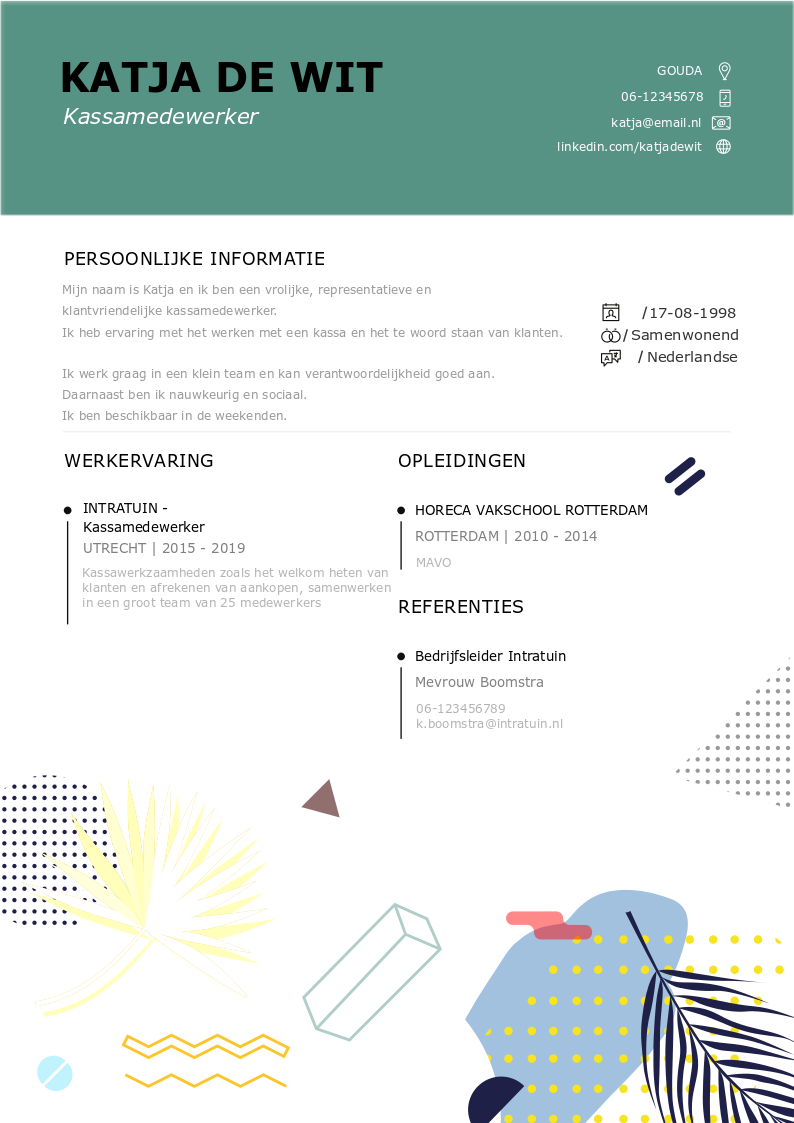 cassiere curriculum vitae