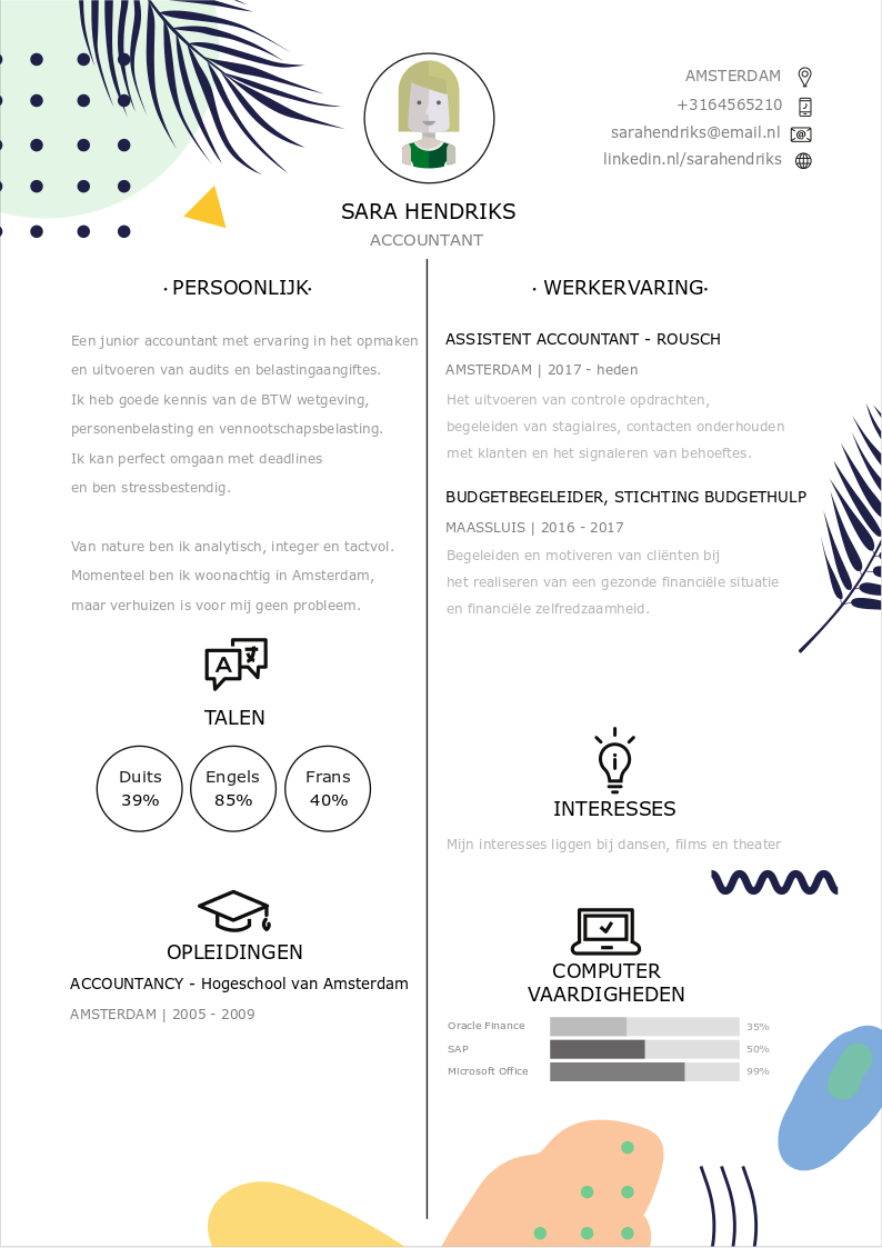 curriculum vitae accountant