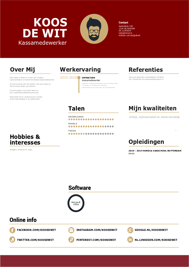 Cv Kassamedewerker Nodig Bekijk Het Voorbeeld Voor Een Perfect Cv