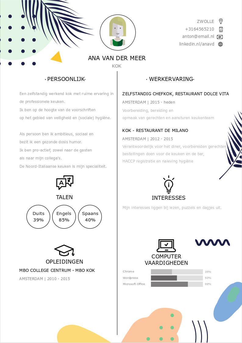 kok sjabloon cv