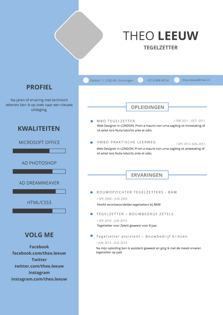 tegelzetter cv voorbeeld 1