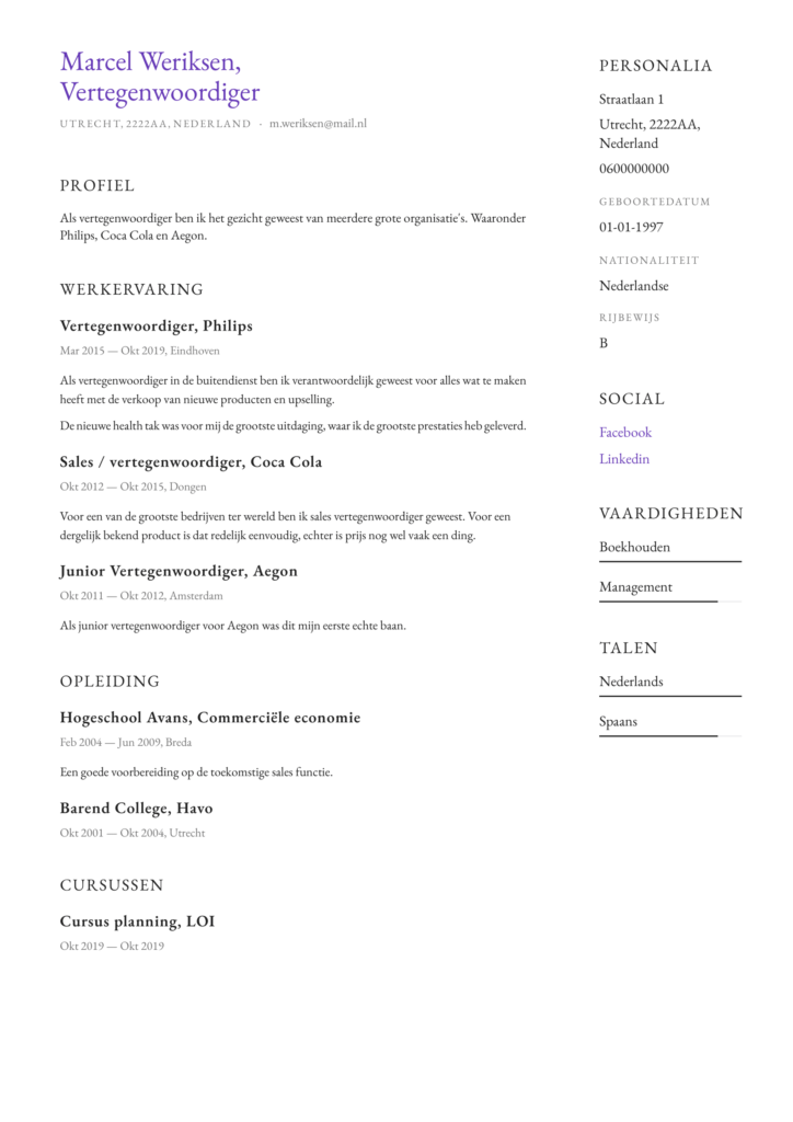 Cv Voorbeeld Vertegenwoordiger 2019 100 Gratis Downloaden Pdf