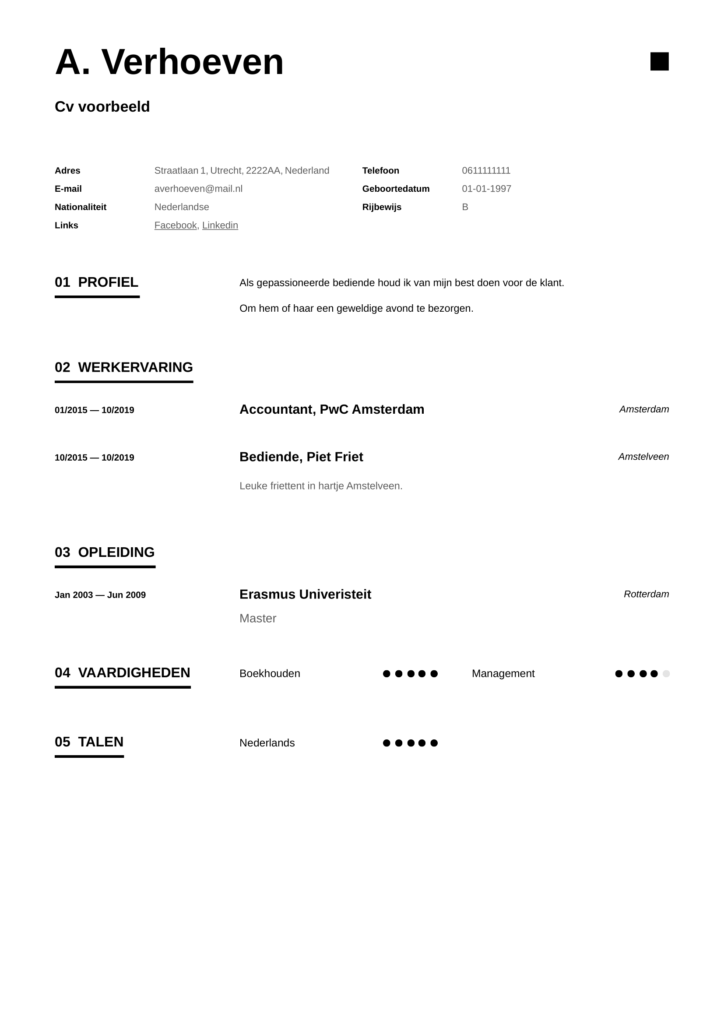 professioneel cv template pdf