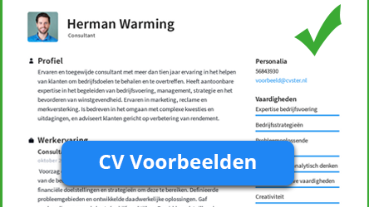 Cv Voorbeeld 2020 20 Gratis Voorbeeld Cv S In Pdf En Word